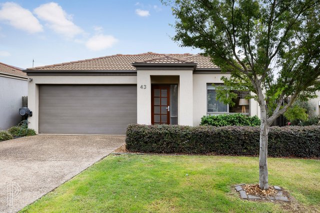 43/29 Thynne Street, ACT 2617