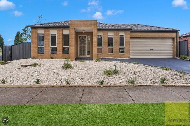 16 Waldburg Grove, VIC 3029