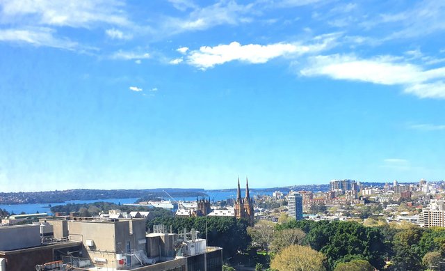 237/27 Park Street, NSW 2000