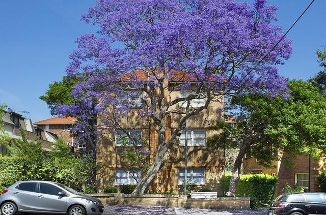 3/16A Spruson Street, NSW 2089