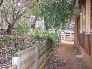 Backyard (2011-08-09)