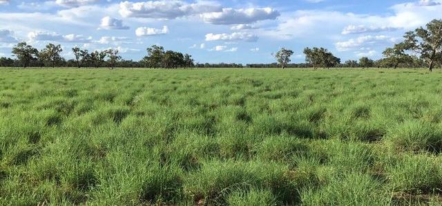 29351 Mitchell Highway, QLD 4470
