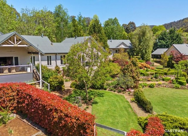 1 Darwin Street, VIC 3779