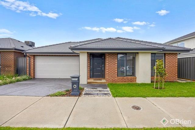 13 Treebeard Street, VIC 3978