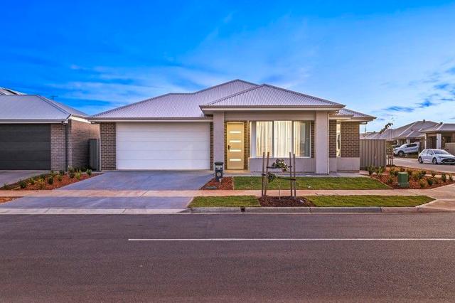58 Hanorah Avenue, SA 5120