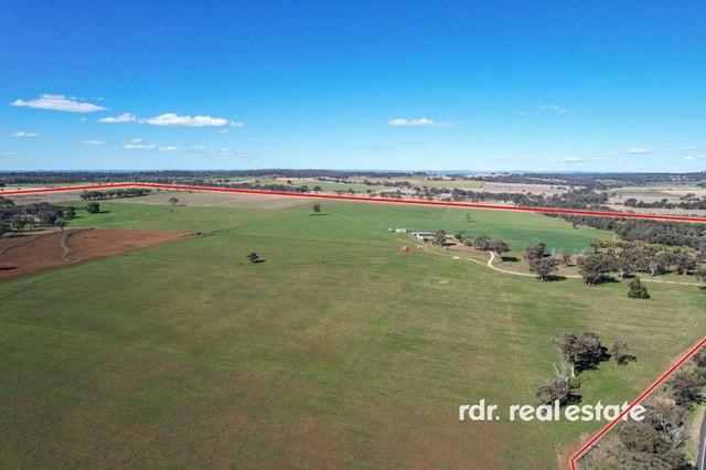 8736 Gwydir Highway, NSW 2360