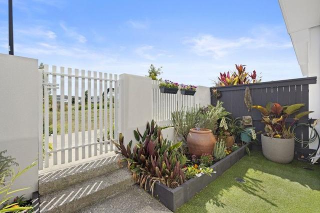 3 Cowrie Lane, QLD 4551