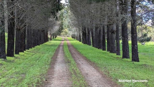 Lot 11 Woodbine Road, WA 6507