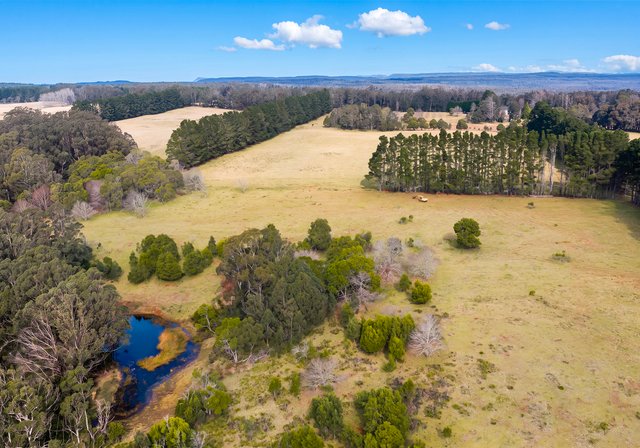 4342 Braidwood Road, NSW 2622