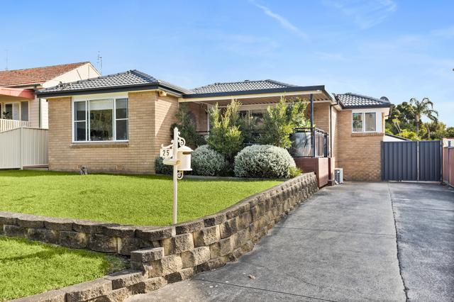 25 Michael Street, NSW 2527