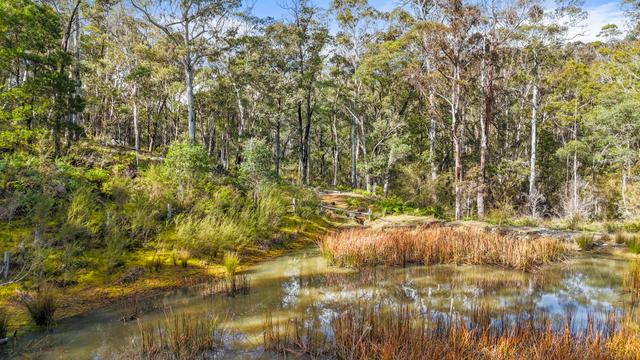 Lot 115 Big Jack Mountain Road, NSW 2632