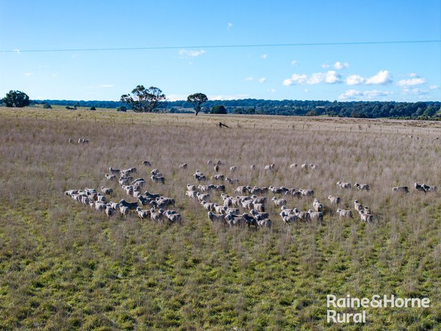3150 Range Road, NSW 2580