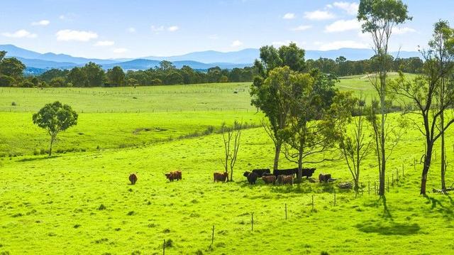 474 Three Chain Road, VIC 3859