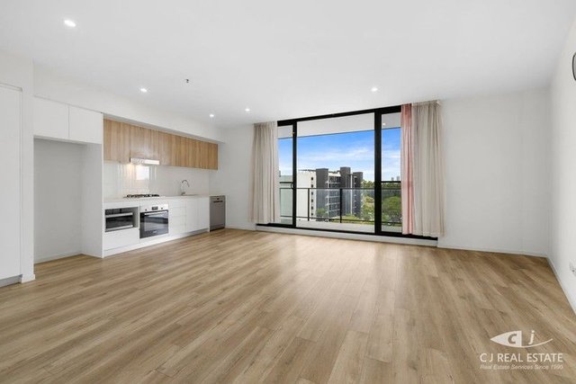 90/208 Parramatta Road, NSW 2140