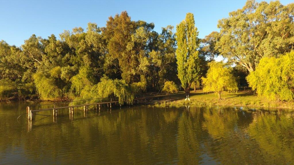 543 Curlew Rd, Lake Cargelligo NSW 2672 Rural for Sale Allhomes