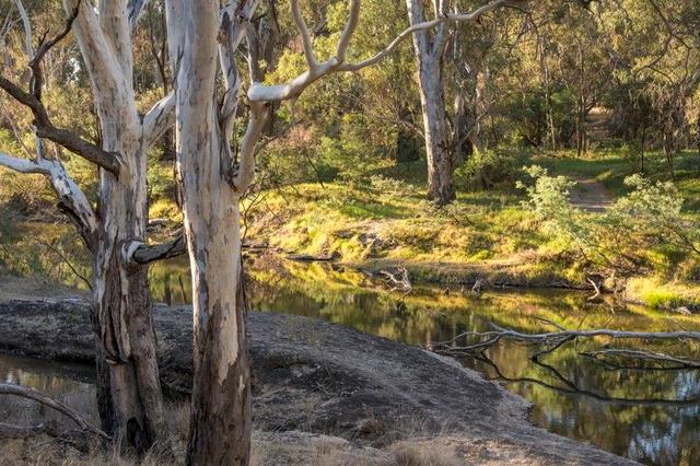 CA15A and 15B, 1106 Goomalibee Road, VIC 3673