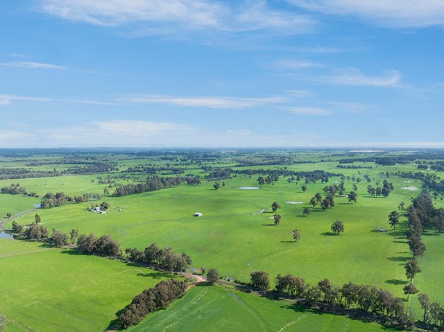 972 Capel Tutunup Road, WA 6280