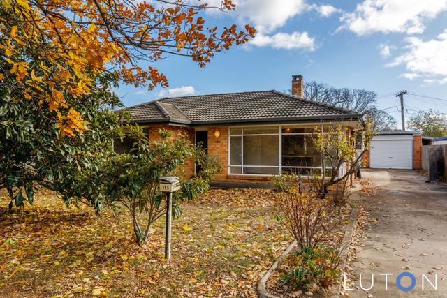 195 Antill Street, ACT 2602