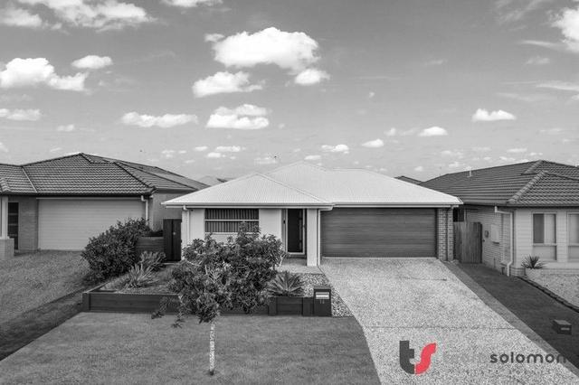 16 McPherson Street, QLD 4164