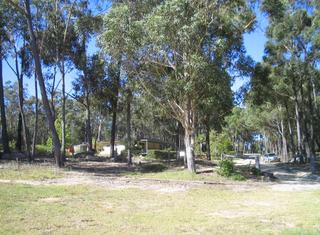 House 1 (2008-03-17)