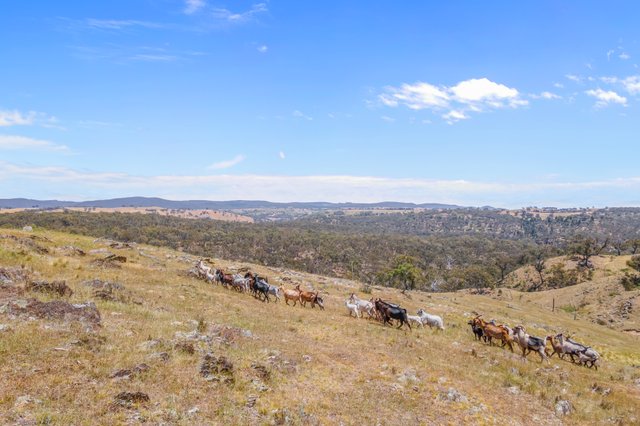 1884 Lower Lewis Ponds Road, NSW 2800