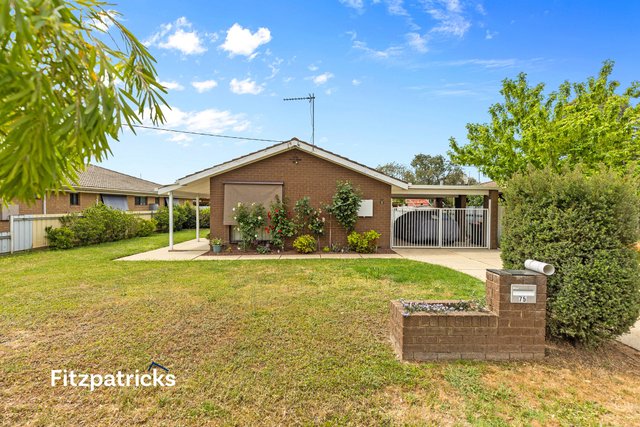 75 Brunskill Avenue, NSW 2651