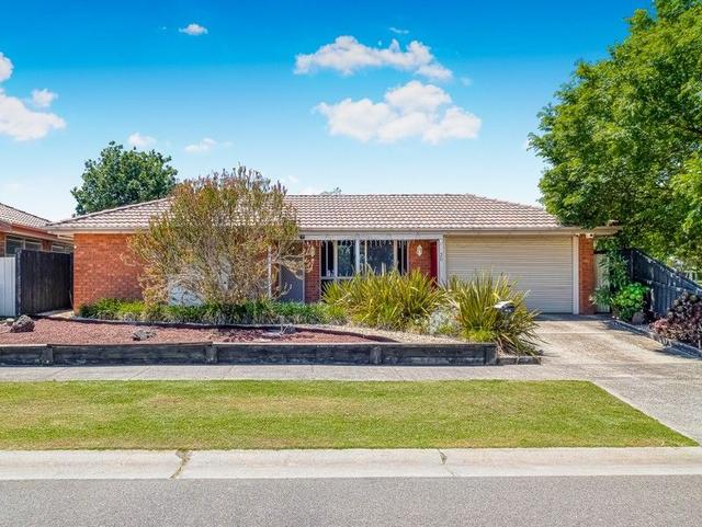 20 Frances Crescent, VIC 3977