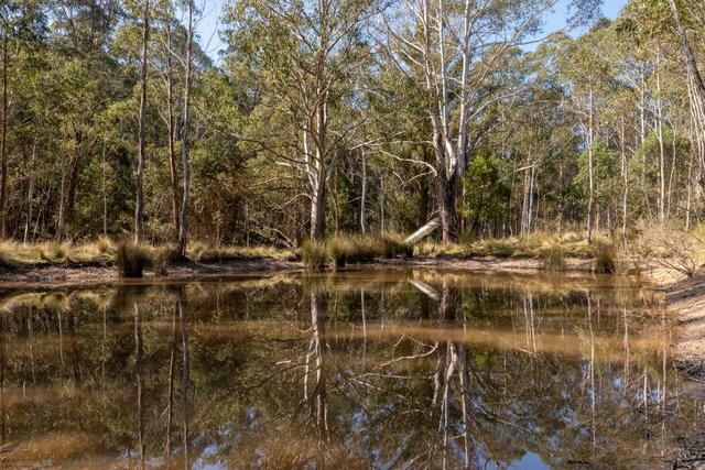153 Blue Bush Road, NSW 2622