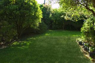 Backyard (2003-11-24)