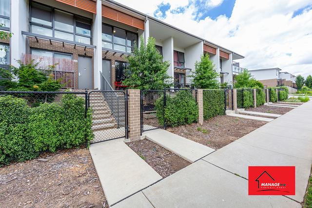 35/11 Wanderlight Avenue, ACT 2617