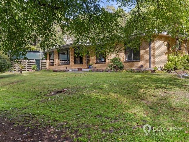 55 Wilson Road, VIC 3960