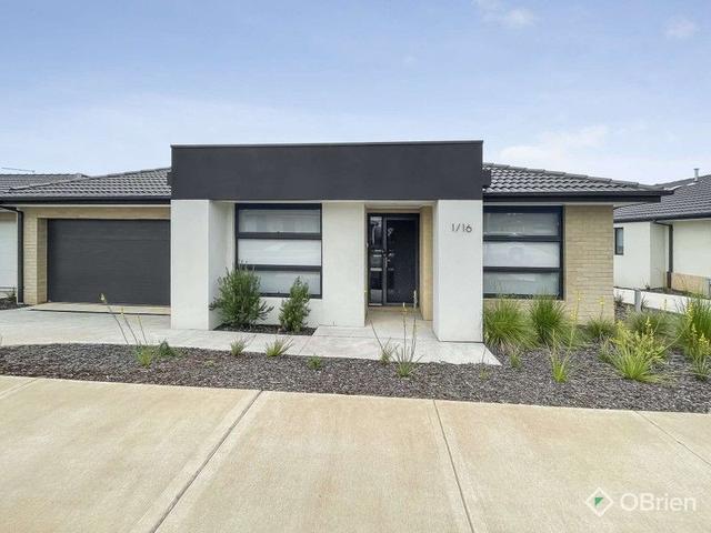 1/16 McKindlay Street, VIC 3818