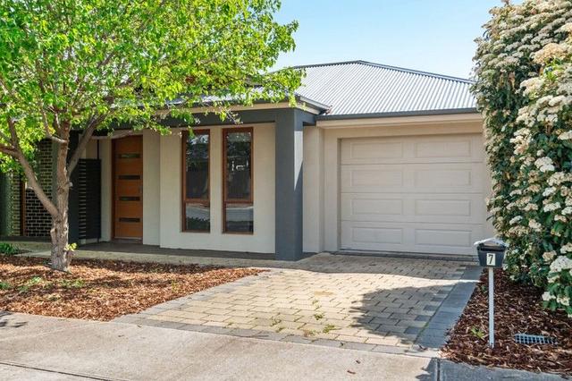 7 Stephens Place, SA 5043