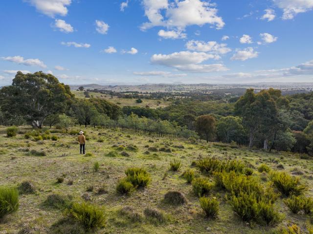 "Sheldricks Range" Sheldricks Lane, NSW 2582