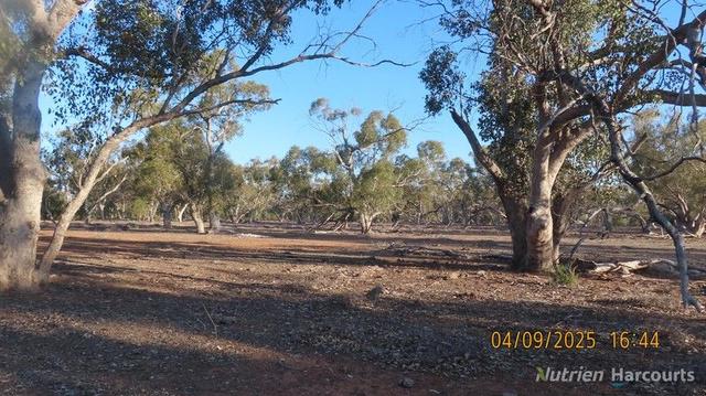 * Mud Hut, NSW 2840