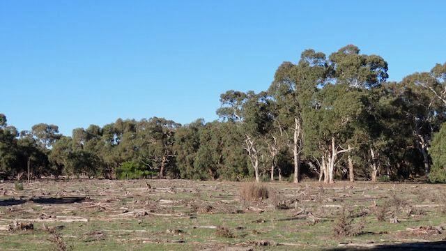225 Coles-Killanoola Road, SA 5272