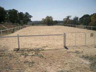 Arena (2006-10-11)