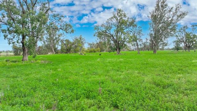 359 Balcarry Lane, NSW 2345