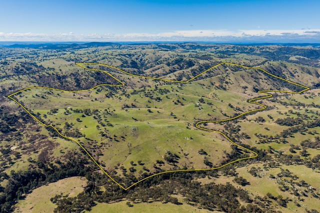 334 Lucky Swamp Road, NSW 2583