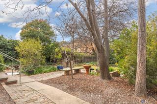 Back Yard (2019-11-11)