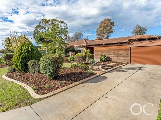 11 President Avenue, SA 5114