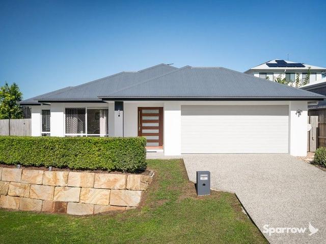 61 Wallum Circuit, QLD 4207