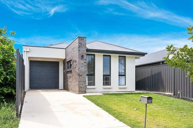 12 Brigalow Avenue, SA 5092