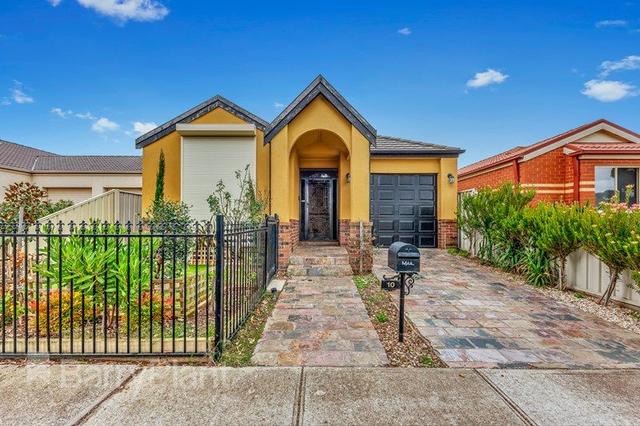 10 Naracoote  Drive, VIC 3023