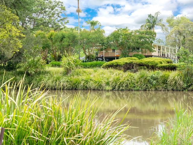 98 Tuntable Creek Road, NSW 2480