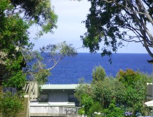 View from Balcony