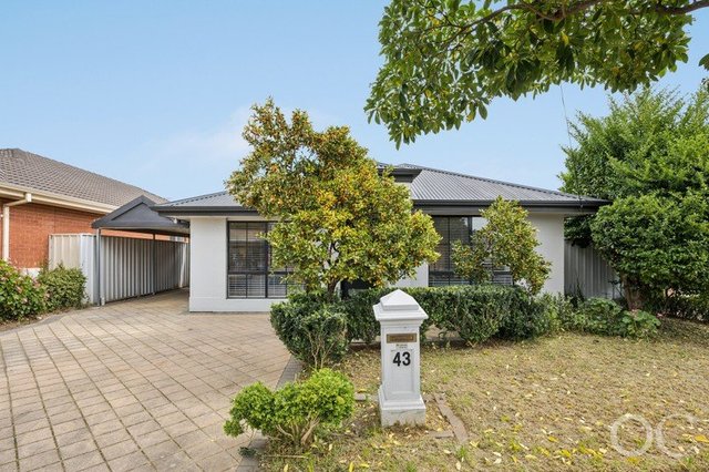 43 Briar Road, SA 5070