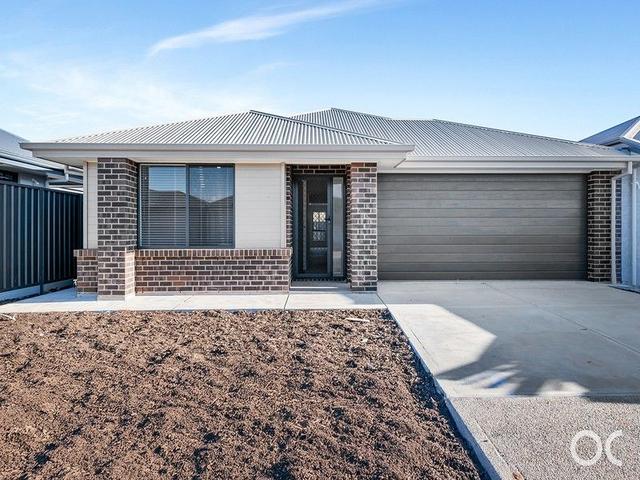 43 Barilla Avenue, SA 5115
