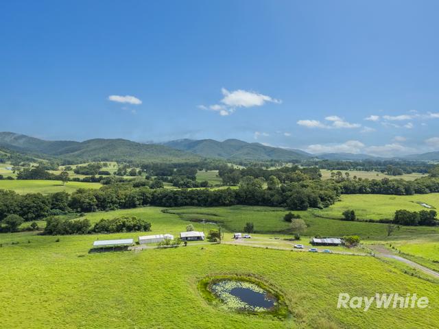 345 Markwell Back Road, NSW 2423