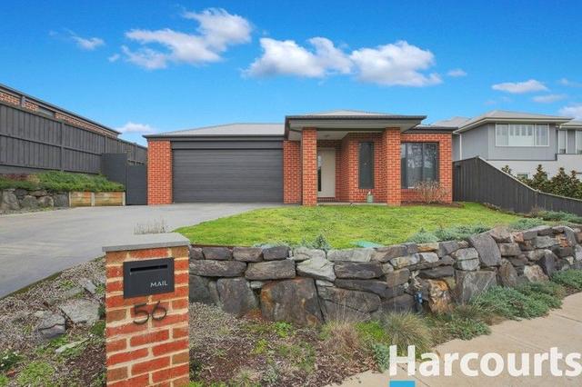 56 McCubbin Drive, VIC 3820